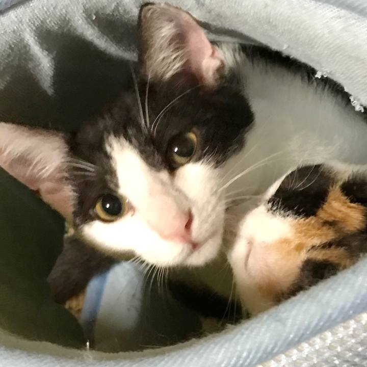 Aa738f42 af27 40e7 989f 0d87aeaefbe0