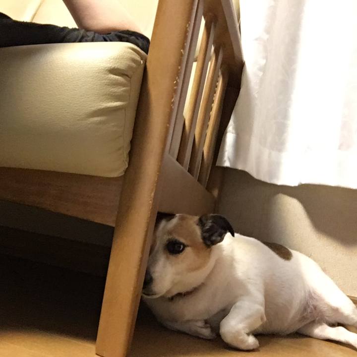 Aa73d9ca e94e 44e3 aedc d218067fe9bd