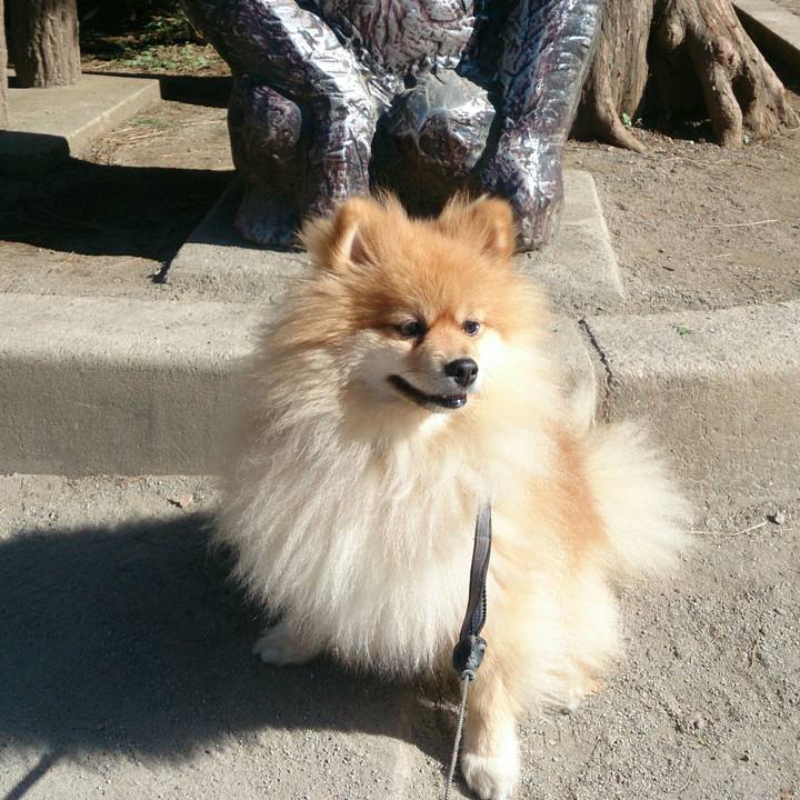 Aa741217 3cb7 406d 836a 332802ece619