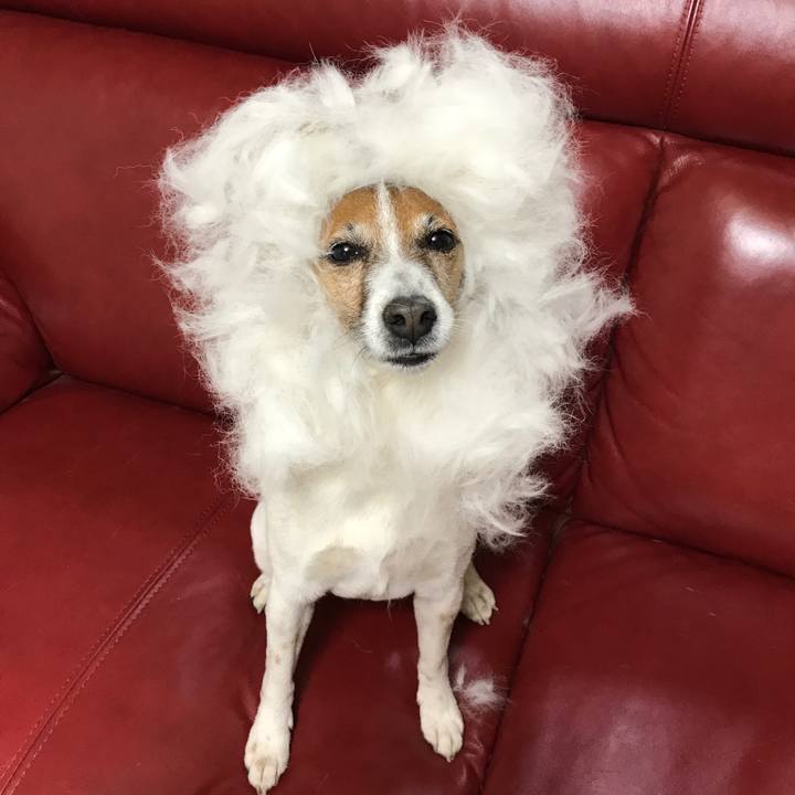 Aa742291 a256 4504 b7e7 02e40f20d702