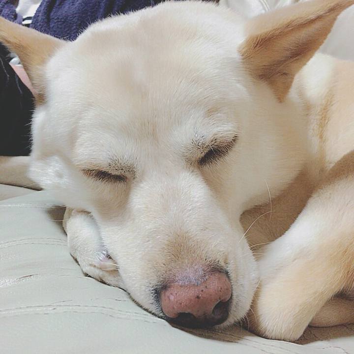 Aa744922 ee95 429e 98d1 3ad8e9207c0a