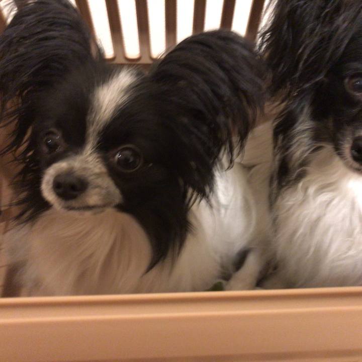 Aa749e28 16e8 4be8 a92c 29eebc3b68cc