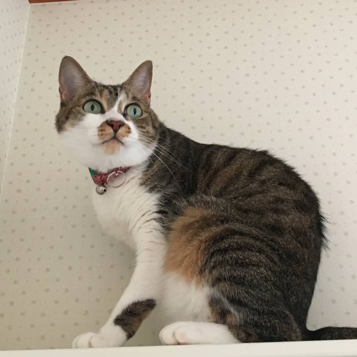 Aa74c759 4acd 425e 8f76 857f16f4b706