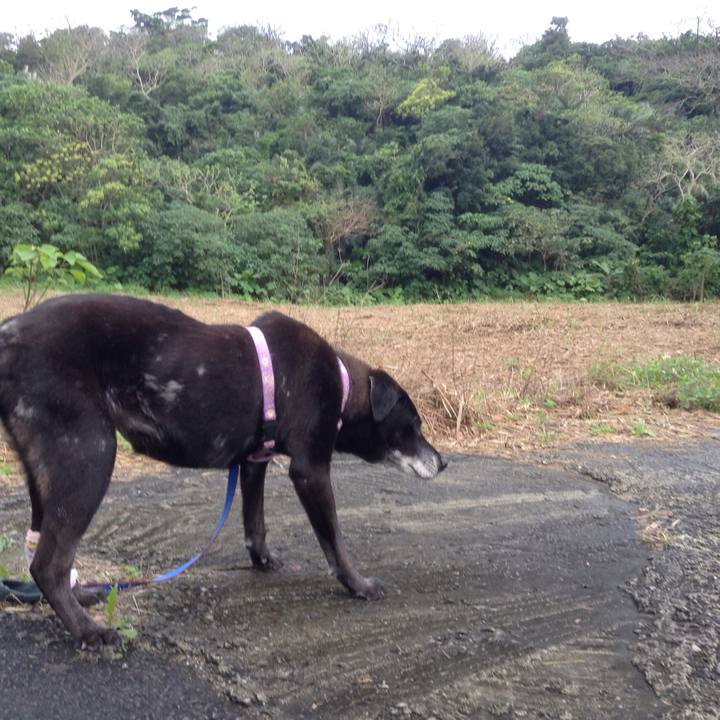 Aa74e0ea 5dcf 4087 afd8 2415c1108eac