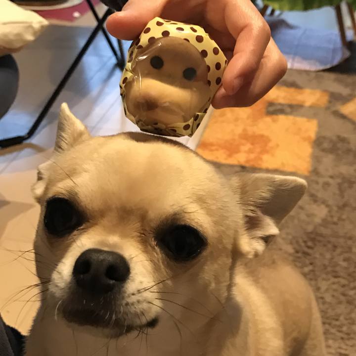 Aa752cdd dcc1 4a6a b49d 1a3266e7af1d