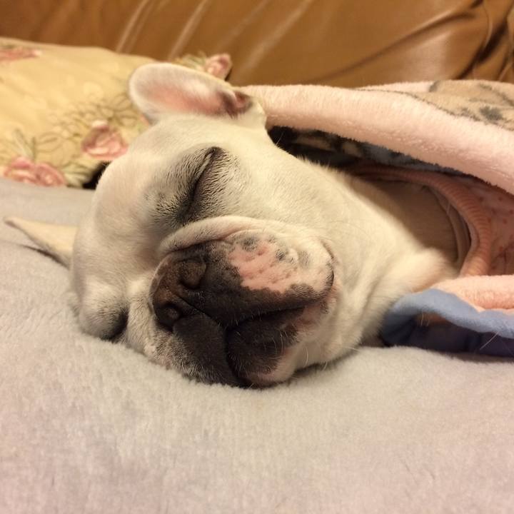 Aa757a0d f91c 4ec8 9365 531bf31ff6ac