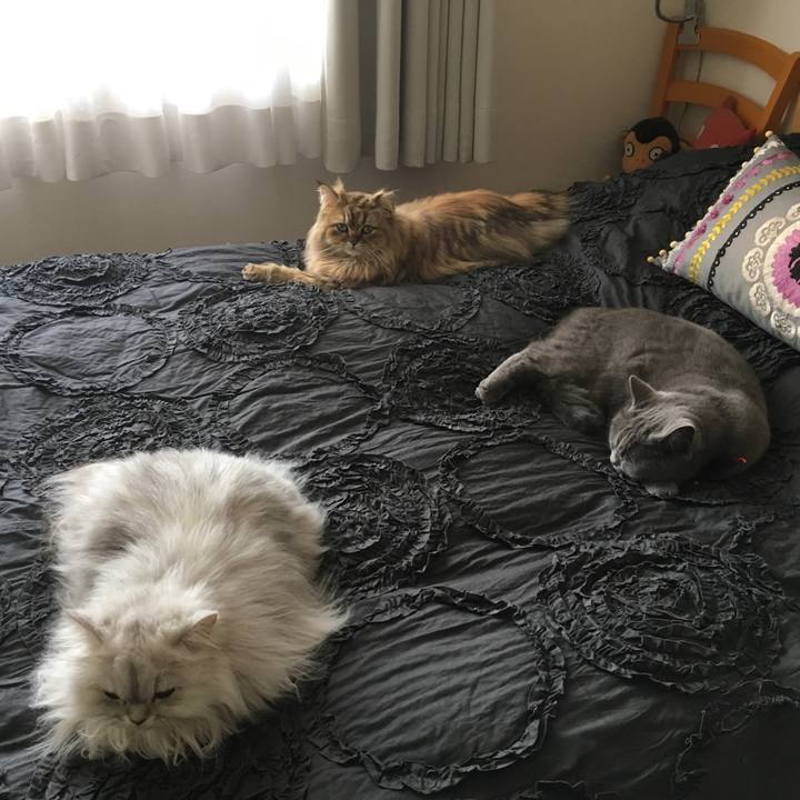 Aa75d7ab 0839 427b abb9 e056b7f8202c