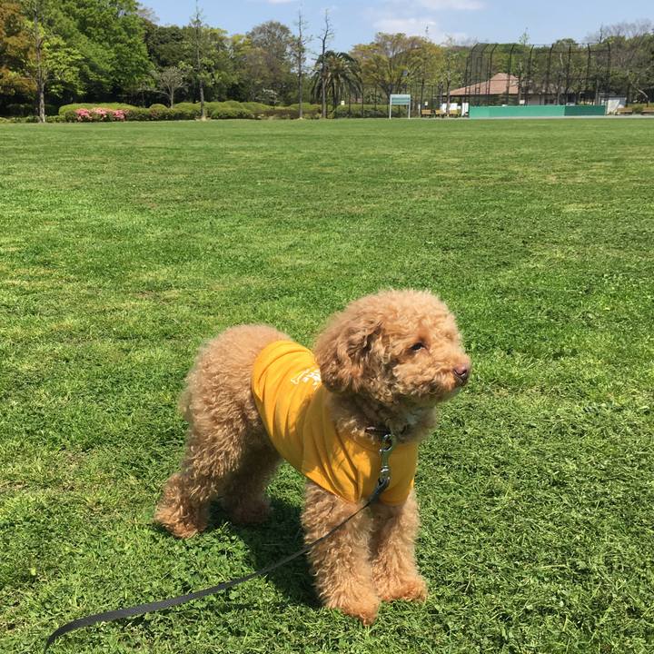 Aa75d7dc e7e1 45aa 9502 be394c115dbf