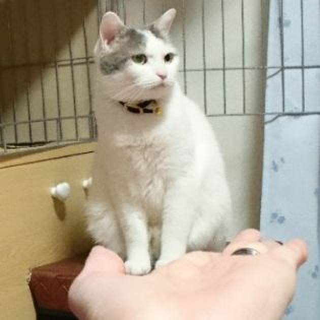 Aa7711f4 94be 4924 9a32 7e03fdef4d3e