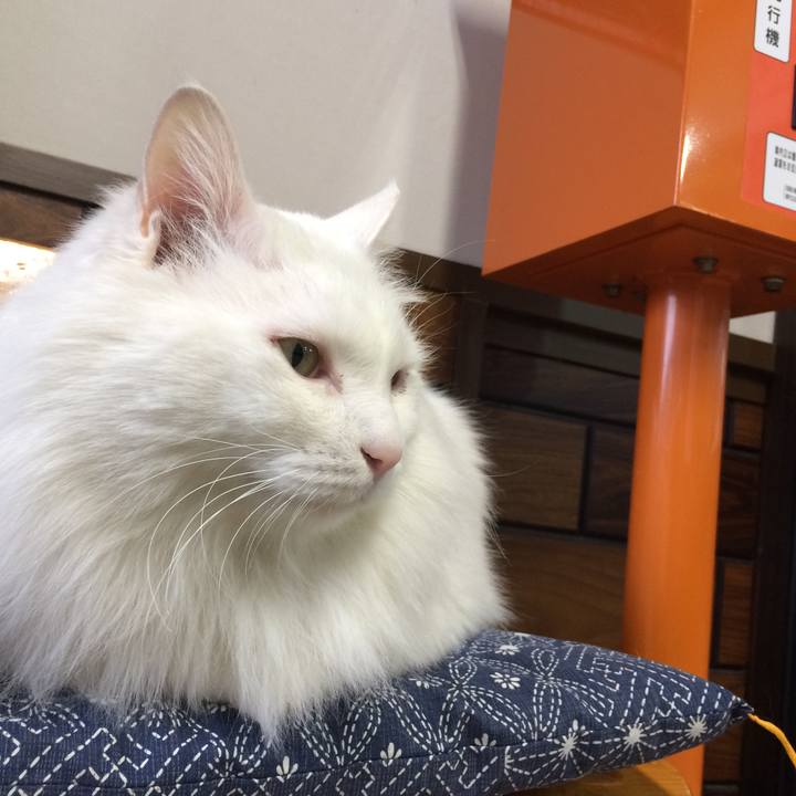 Aa776c99 d2e2 42b1 81b6 2e82ffcce0e9