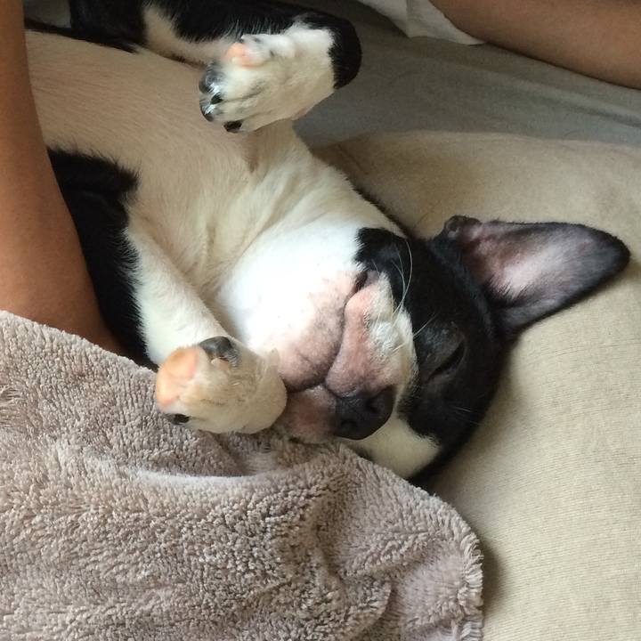 Aa777892 fa1a 4746 9fe9 58e8f388596e