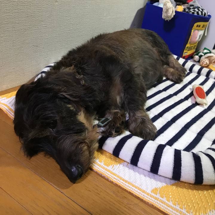 Aa778ec8 91f6 470c 95c0 d667a828ab33