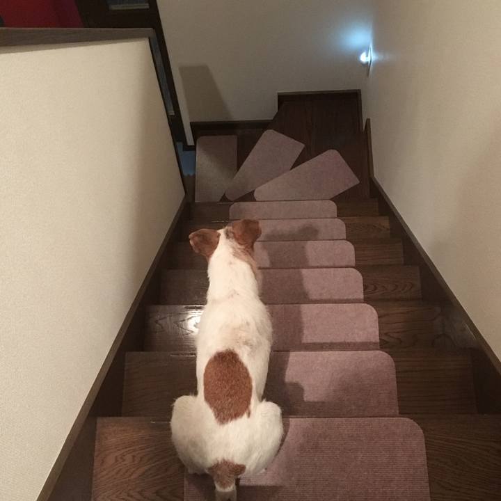 Aa779502 49c4 4306 8ab5 192b951f6c4f