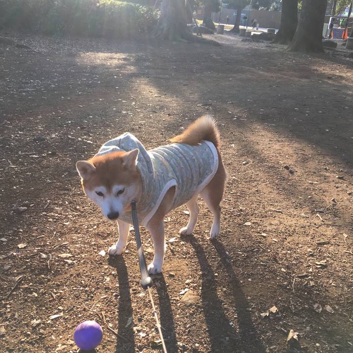 Aa77a0b1 4988 4597 8425 1df9e45bed3f