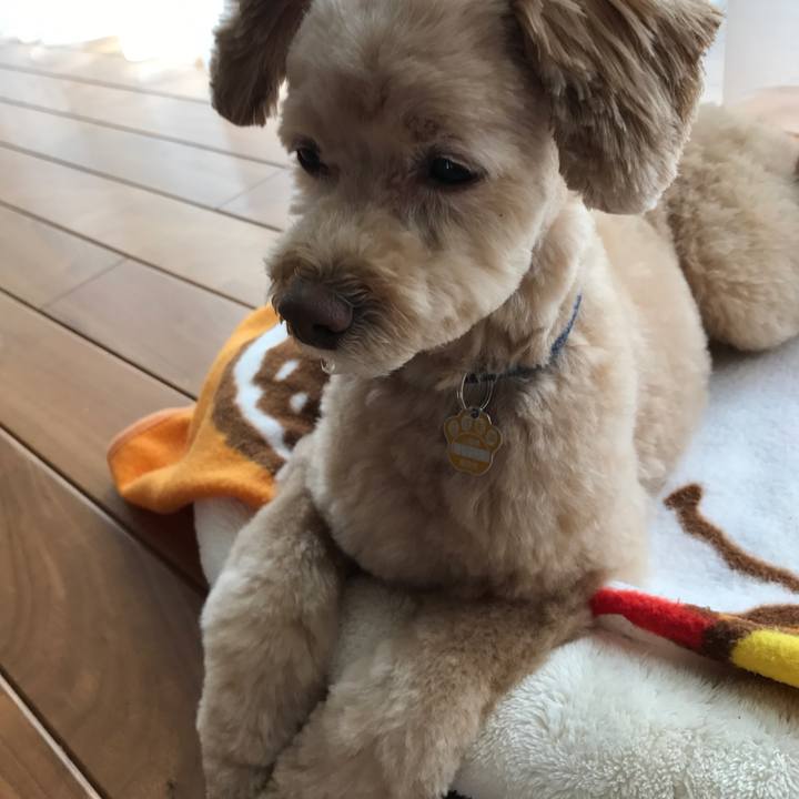 Aa780de7 785d 4fa5 ada9 c340882c58ed