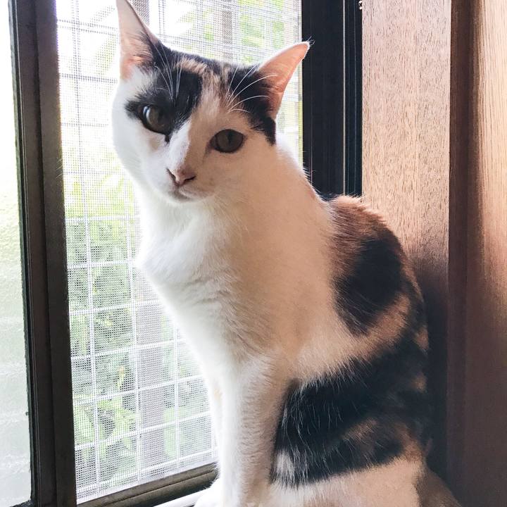 Aa7835dd 23ce 46fa aad7 849742b1c8f8