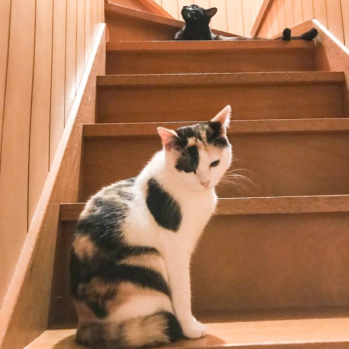 Aa78e6df aed7 4c0e 84cb 8480c1906e95