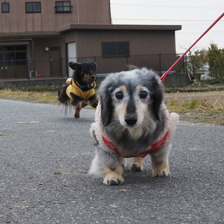 Aa78ec8a 6a25 4d65 85e7 535e182b508a