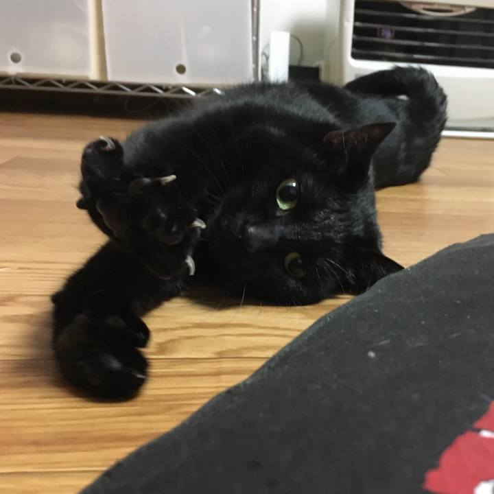 Aa792327 bc36 41ac 9d3f 5a0ea468307f