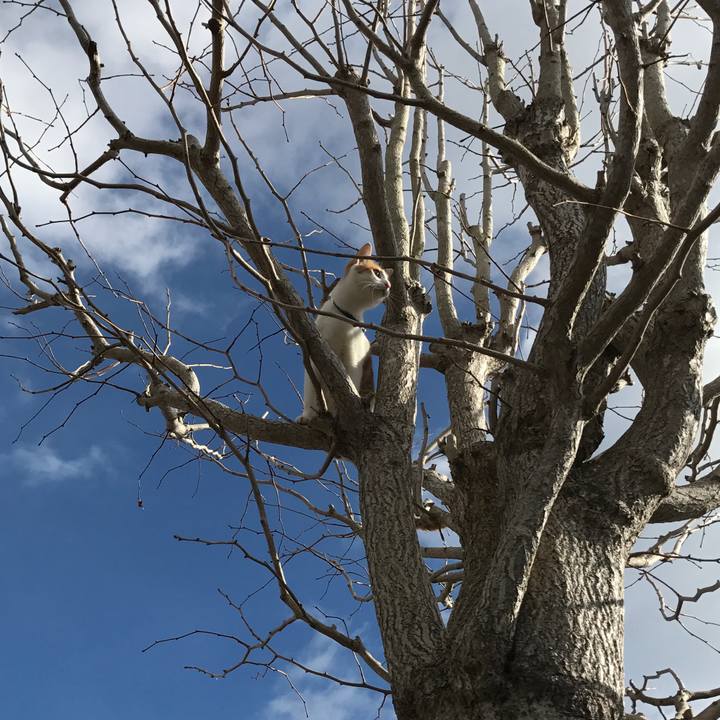 Aa79416b 720e 460f 9fea a9ce81d2c0f1