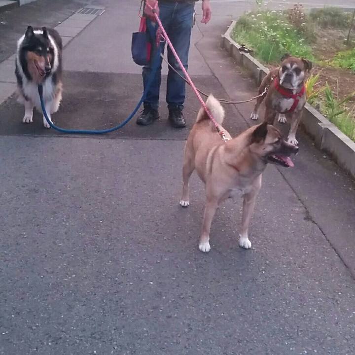 Aa79a6dc 1b94 436e 9c3f 20bb2212cd26