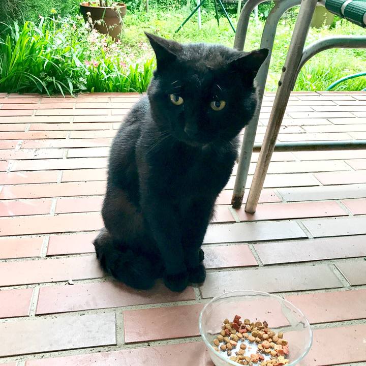 Aa79b265 0aa0 4936 8696 7882614c2d53