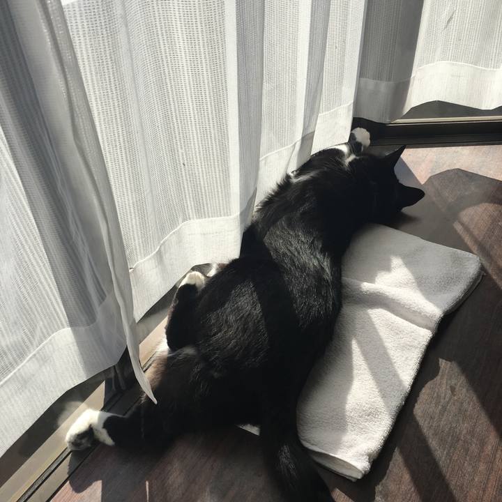 Aa79ee13 9aba 46f4 b59d 40113d4c3c14