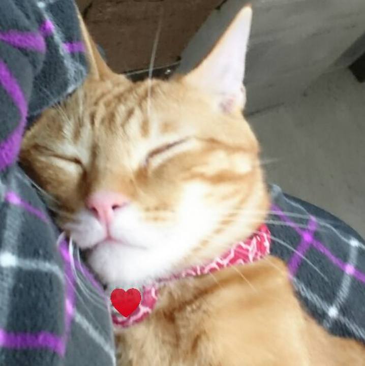 Aa7a10c5 04c3 4b04 aacb 3e76d0239ea3