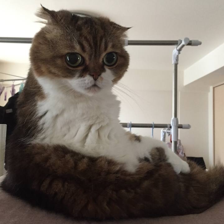 Aa7a2c5b 08b2 4f7e bd8b 506d5fb28db7