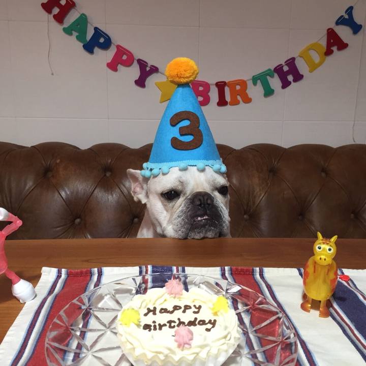 Aa7a470c 868d 40de a4bf c2424457c275