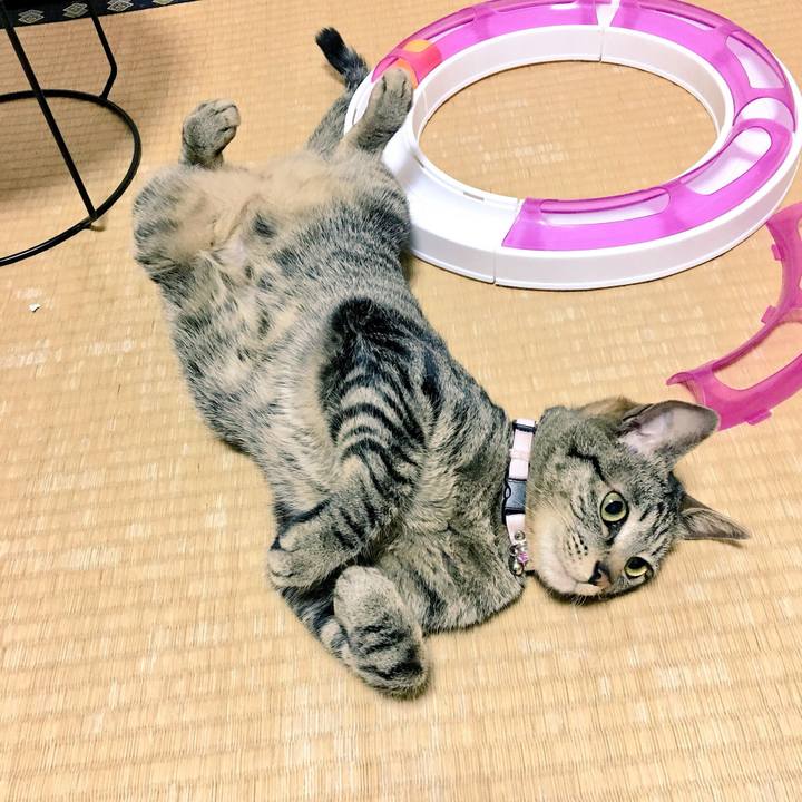 Aa7aa79a f467 476e 9c9e d5a7504b6daf