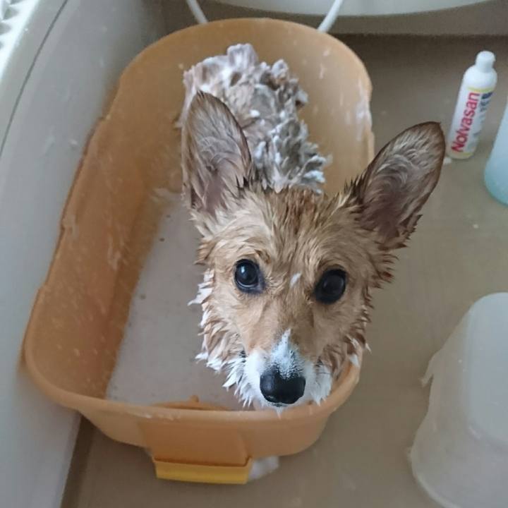 Aa7ad408 2349 4f74 8d1d d8d5fdd6af99