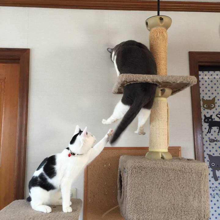 Aa7af237 841d 47c7 9b54 8f912fa129a4