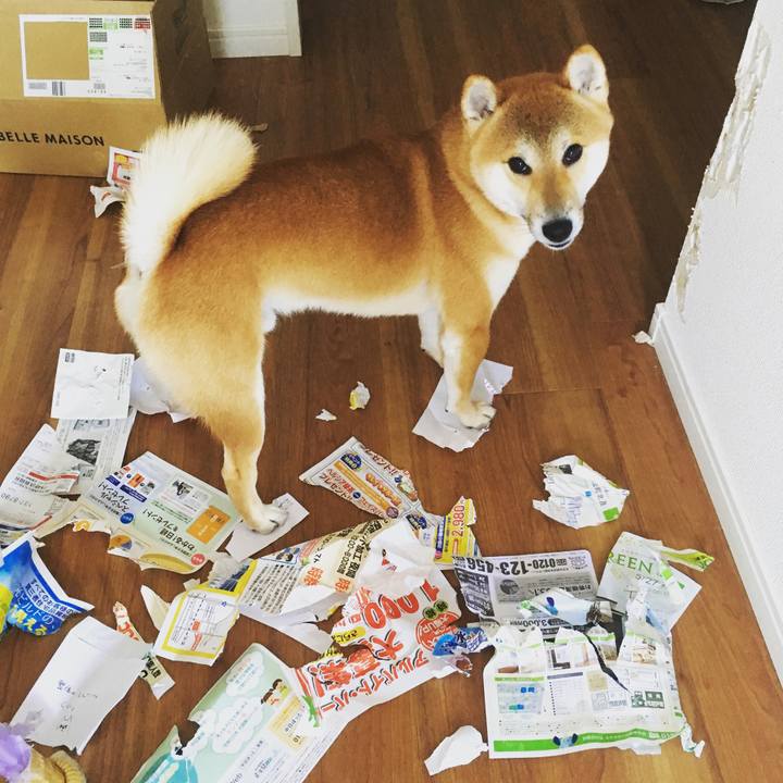 Aa7b0c83 69e9 4594 981b 7b2d1adb5668