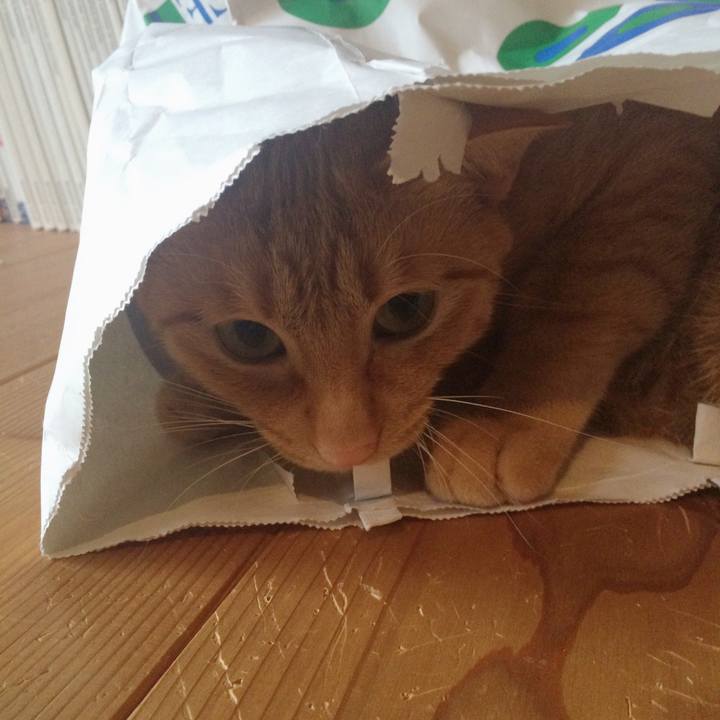 Aa7b8745 c592 4e10 99c1 09bef9b46c6b