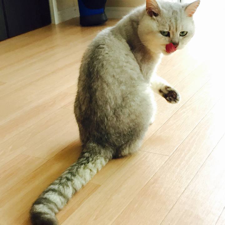 Aa7e6ca5 b68a 4fb6 9a9b c796f1fbb458