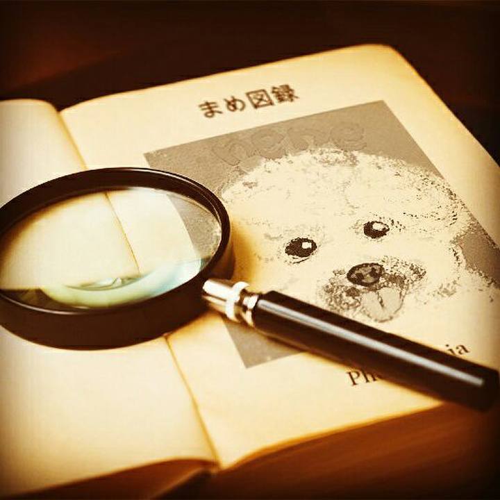 Aa7e965c f44e 4eea 8564 829fd1c99ad3