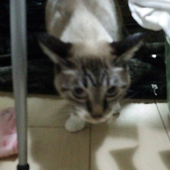 Aa7ef05b 66d4 41bb af75 1182de1298ed