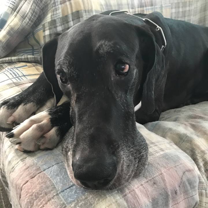 Aa7f448f d255 4ce3 b228 d4bda47ed29b