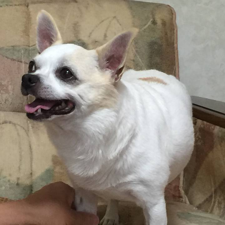 Aa7f46cc 7d1a 4b4d aecb fc0086360a70