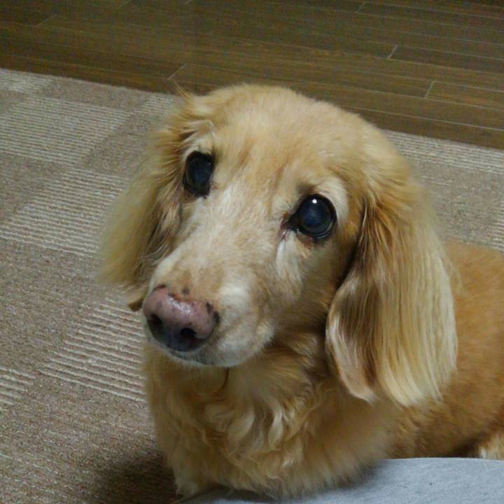 Aa8008f6 8d7c 4937 ab47 6267b121df51
