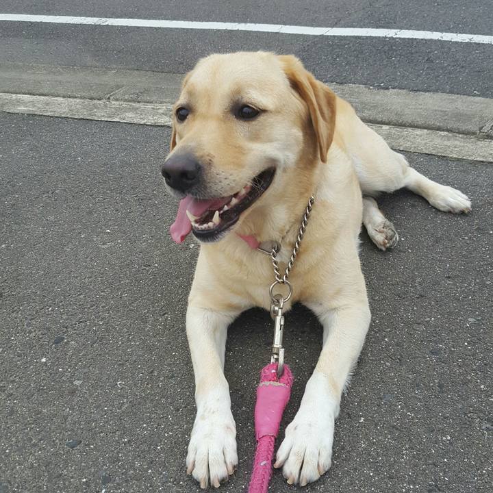 Aa8011cc fe89 485c a811 0fa09963dcc7