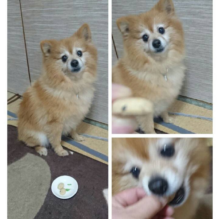 Aa816b52 863f 4ef8 bef0 a4694a1d8677