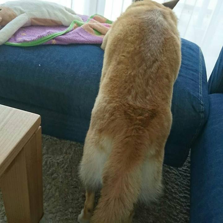 Aa820cd2 7fca 4d57 8b70 2cae301a494b