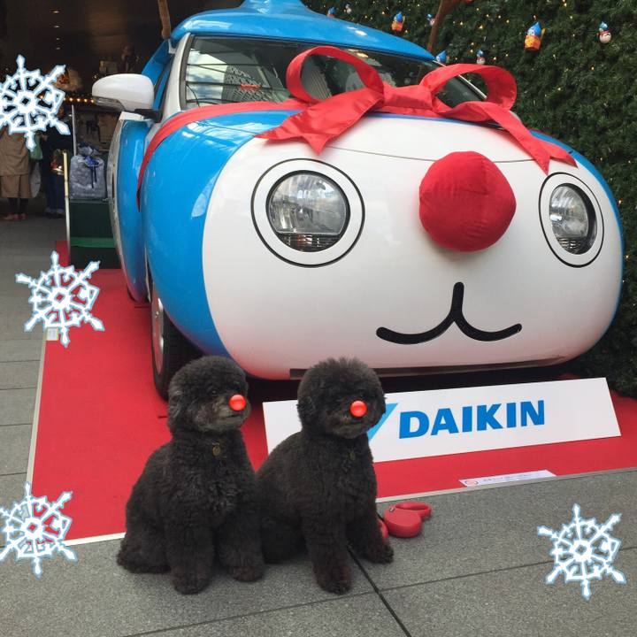 Aa824231 40b0 43b9 bb09 0c043ef705e6