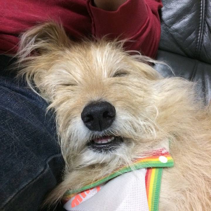 Aa82b06d b576 4aeb 8a1e bce93ab8aa8f