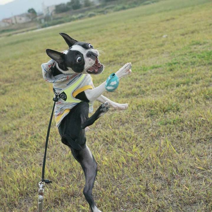 Aa82b3f3 37b9 499e 87b6 0ca4806ff160