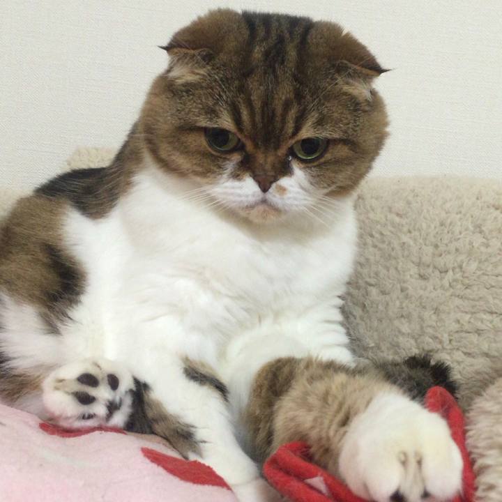 Aa82d85a c3f8 469b b337 685deba0f5c6