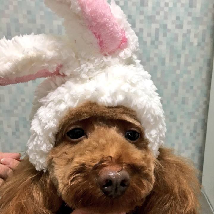 Aa82e2b2 c12b 4c57 a44f 4bc08222cfd6