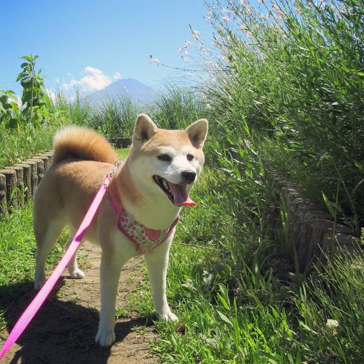 Aa83137b e1ca 4c49 a632 f79f77a1ad4d